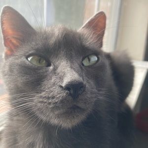 Meet your Posher, Briana